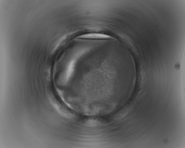 X0000113860596200910151238