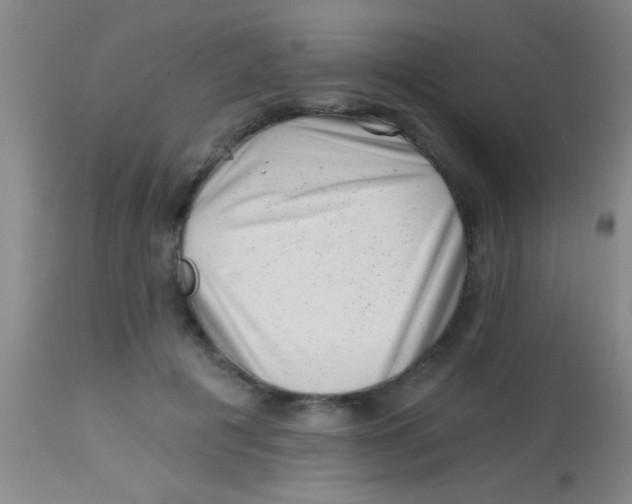 X0000113860601200910151238