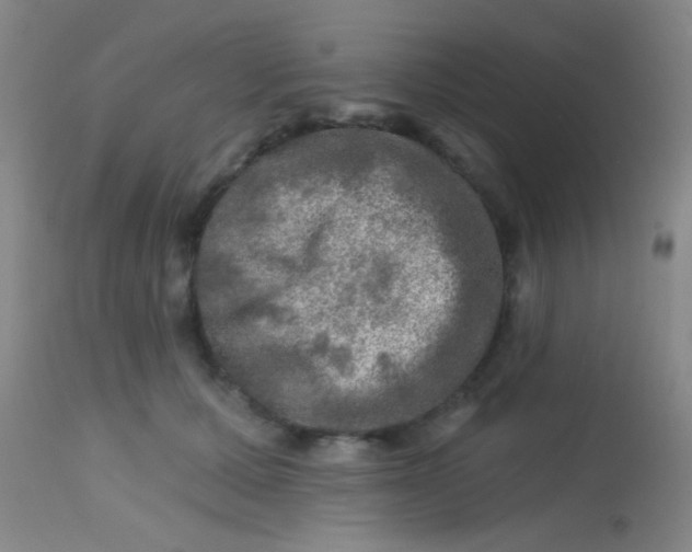 X0000113860607200910151238