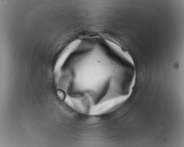 X0000113860609200910151238