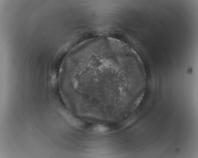 X0000113860610200910151238