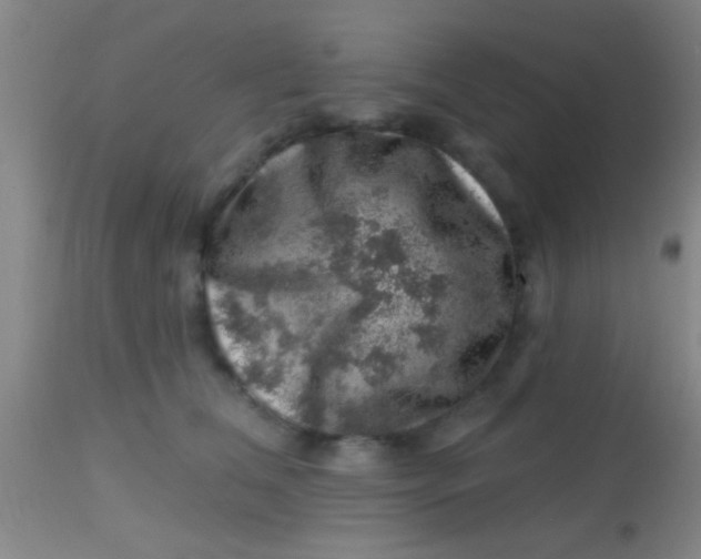 X0000113860612200910151238