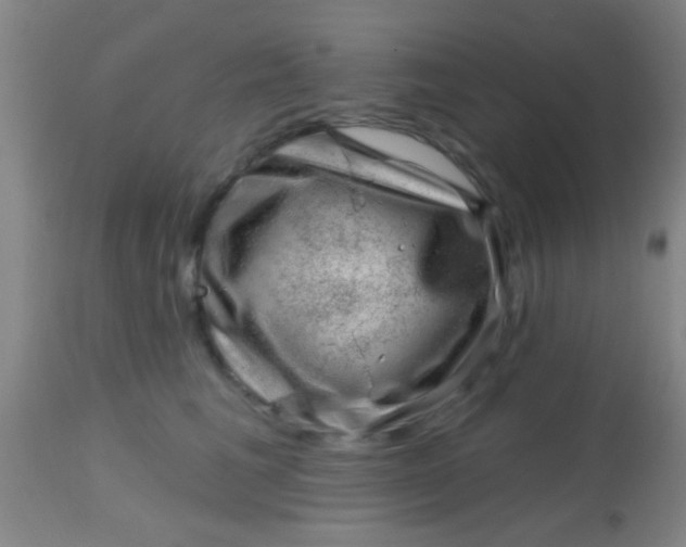 X0000113860613200910151238