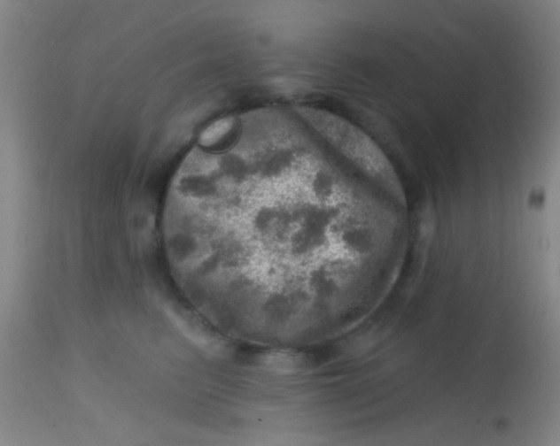 X0000113860615200910151238