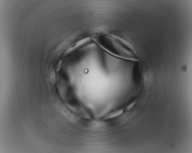 X0000113860617200910151238
