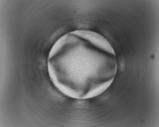 X0000113860619200910151238