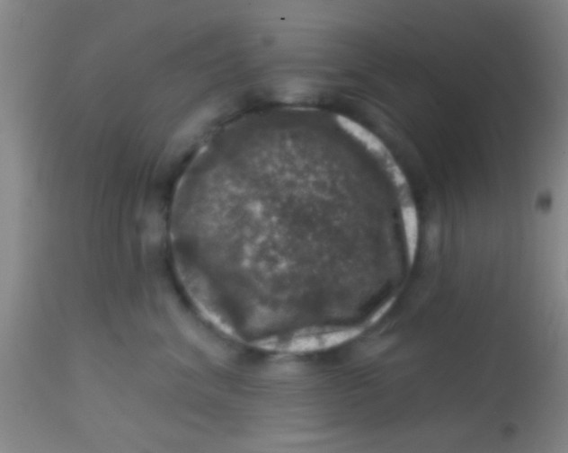 X0000113860620200910151238