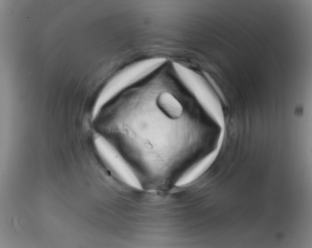 X0000113860621200910151238