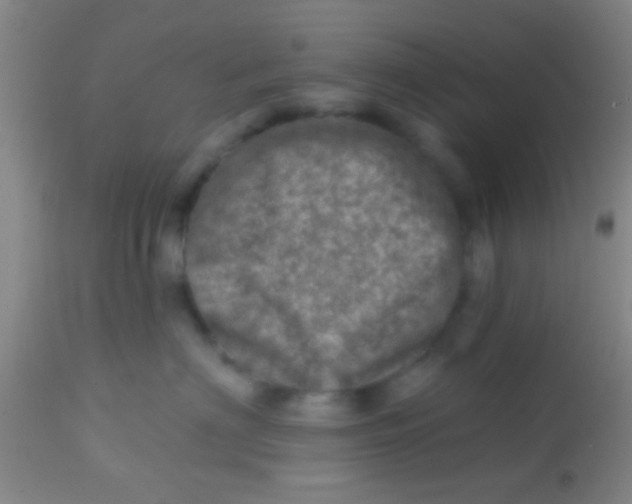 X0000113860622200910151238