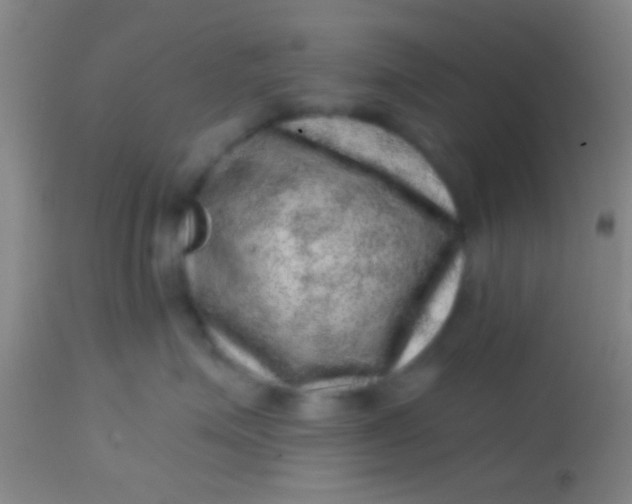 X0000113860623200910151237