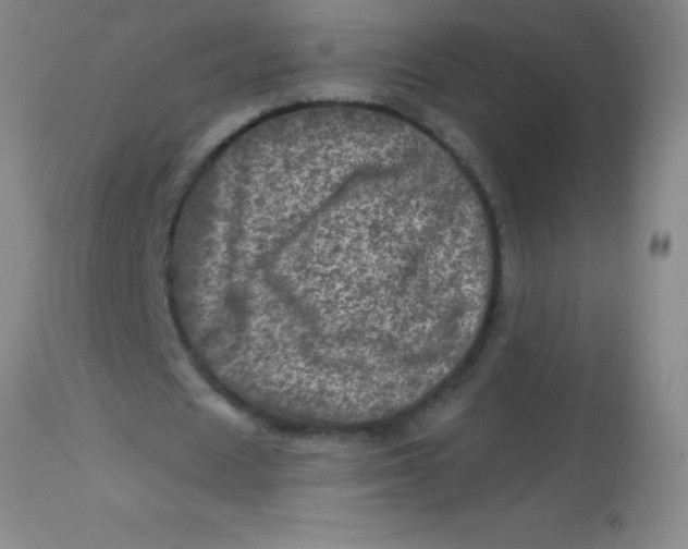 X0000113860625200910151237