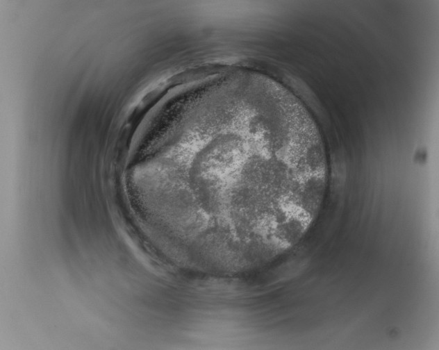 X0000113860626200910151237
