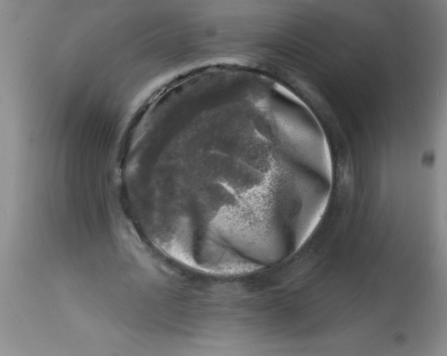 X0000113860628200910151237