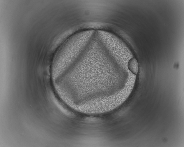 X0000113860633200910151237