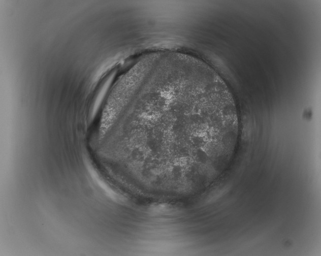 X0000113860634200910151237