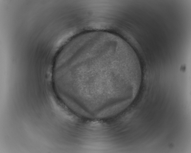 X0000113860635200910151237