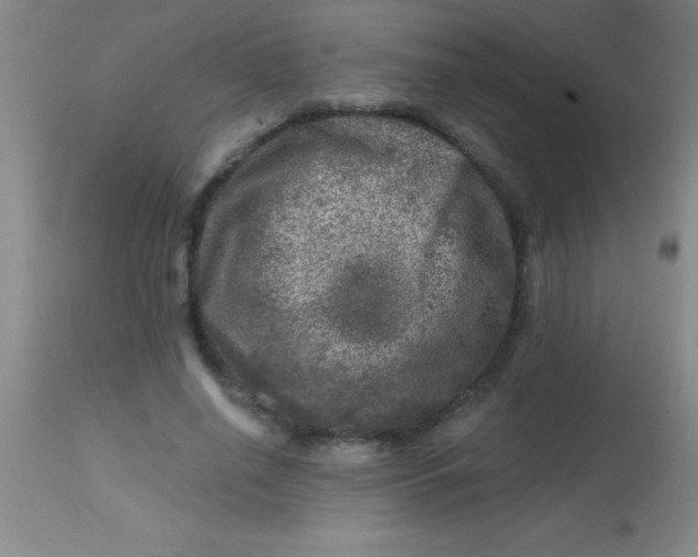 X0000113860638200910151237