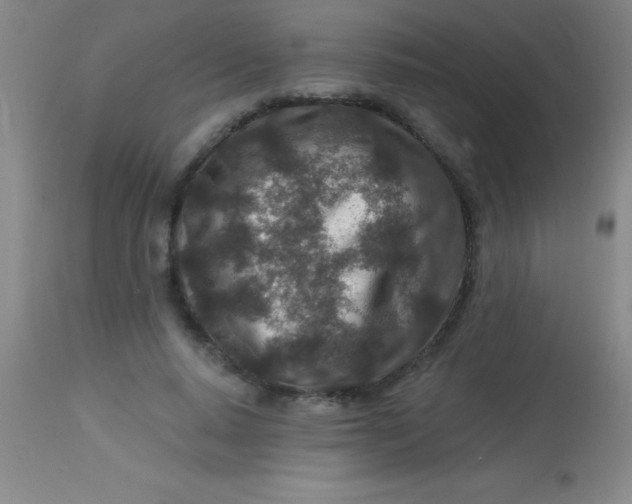 X0000113860640200910151237