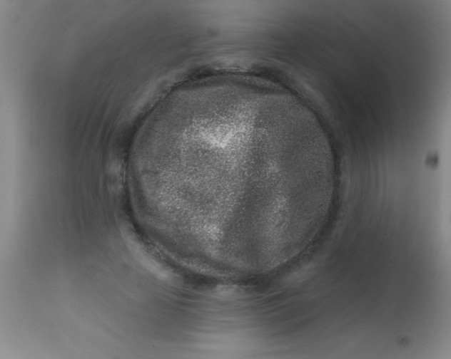 X0000113860641200910151237