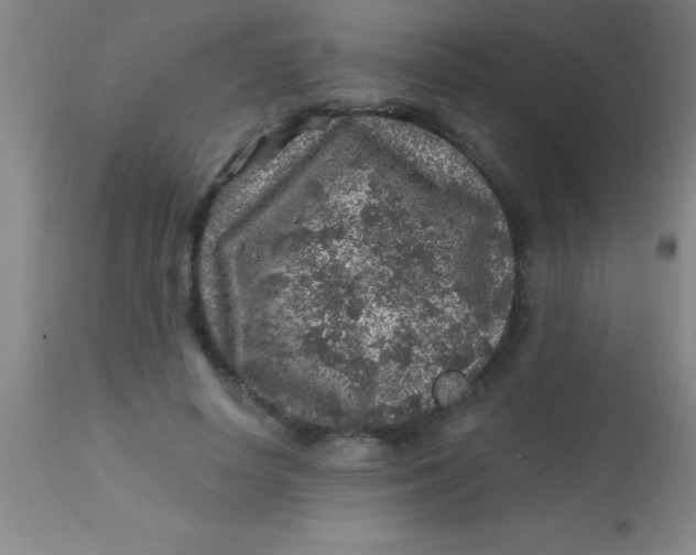 X0000113860642200910151237