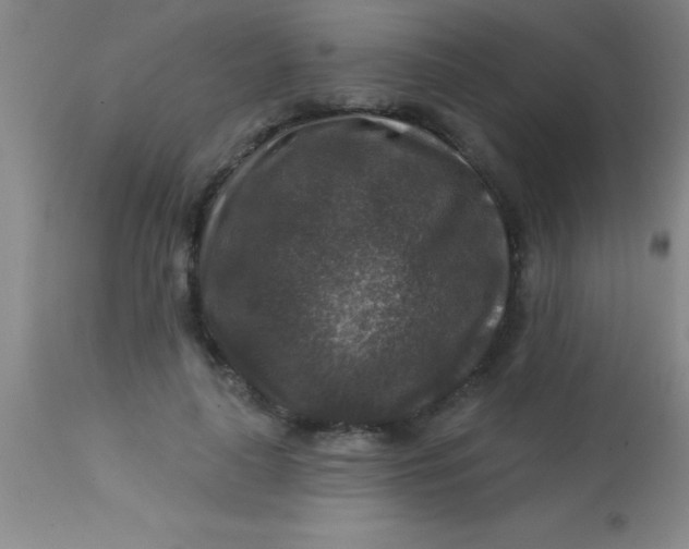 X0000113860643200910151237
