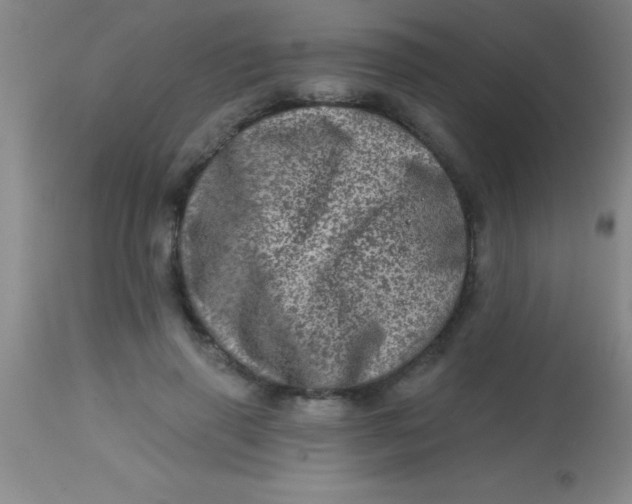 X0000113860645200910151237