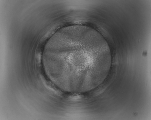 X0000113860646200910151237