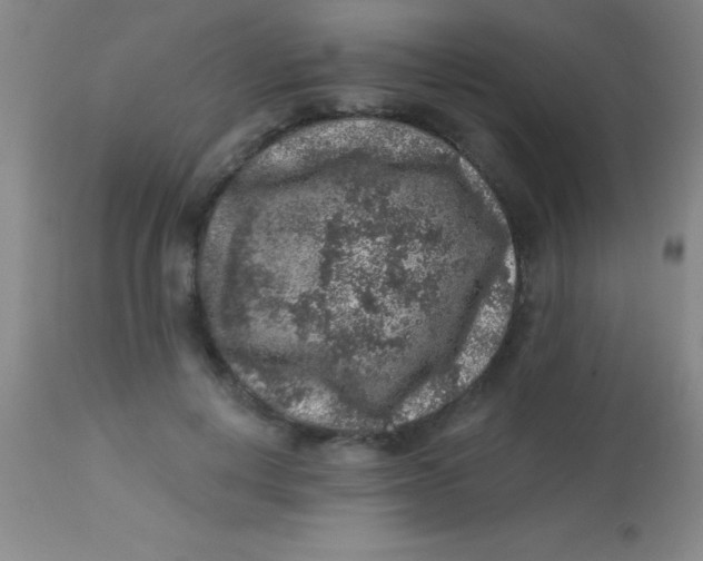 X0000113860648200910151237
