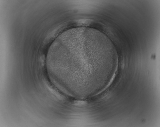 X0000113860649200910151237
