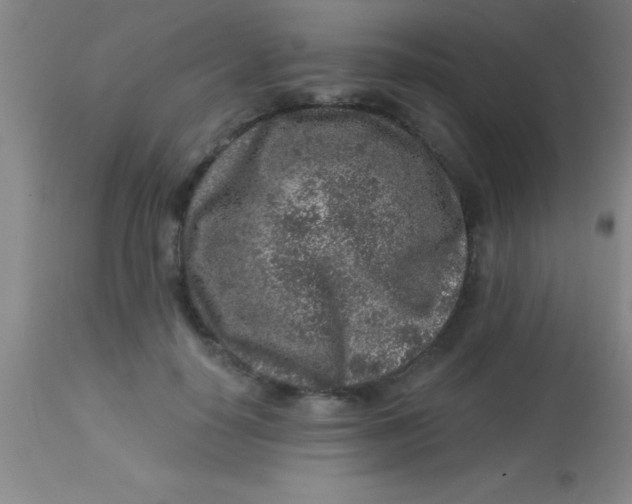 X0000113860650200910151237