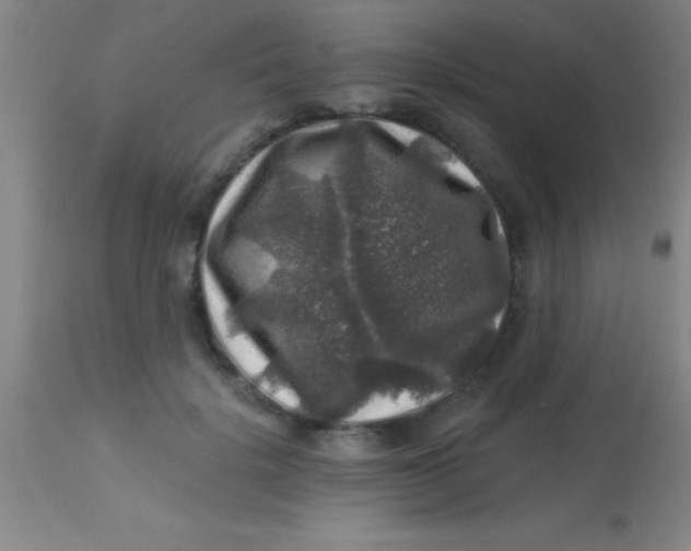 X0000113860652200910151237