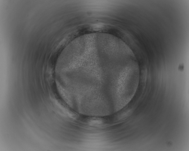 X0000113860653200910151237