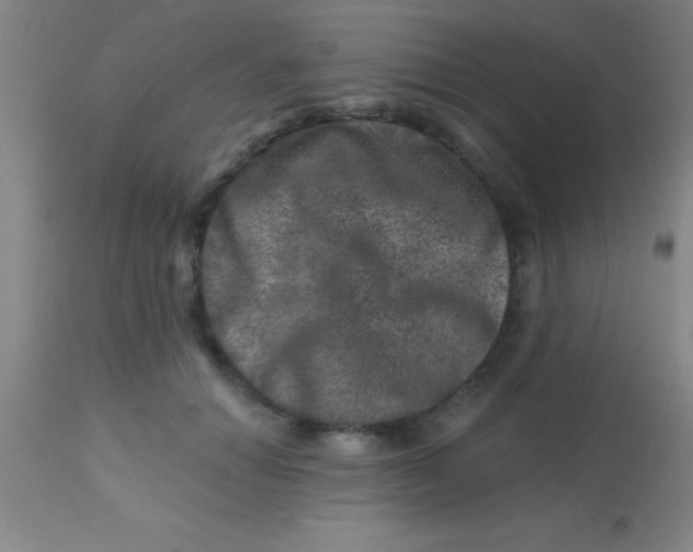 X0000113860654200910151237