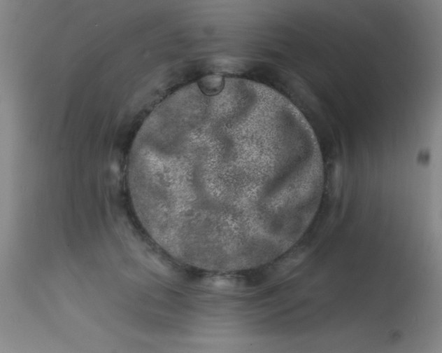 X0000113860655200910151237