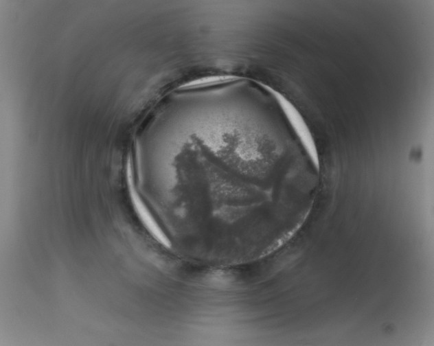 X0000113860656200910151237