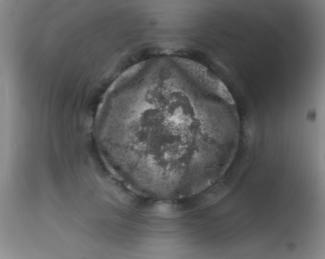 X0000113860657200910151237