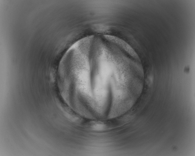 X0000113860658200910151237