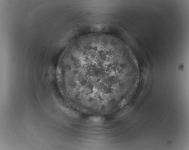 X0000113860659200910151237