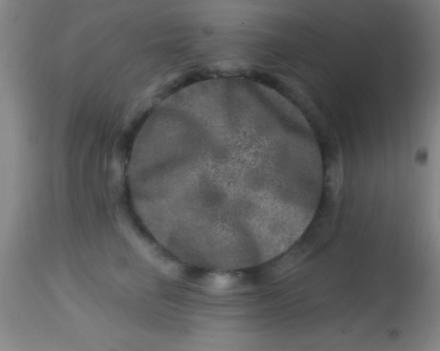 X0000113860662200910151237