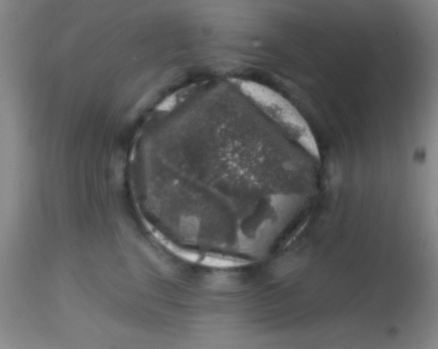 X0000113860664200910151237