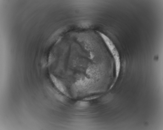 X0000113860665200910151237