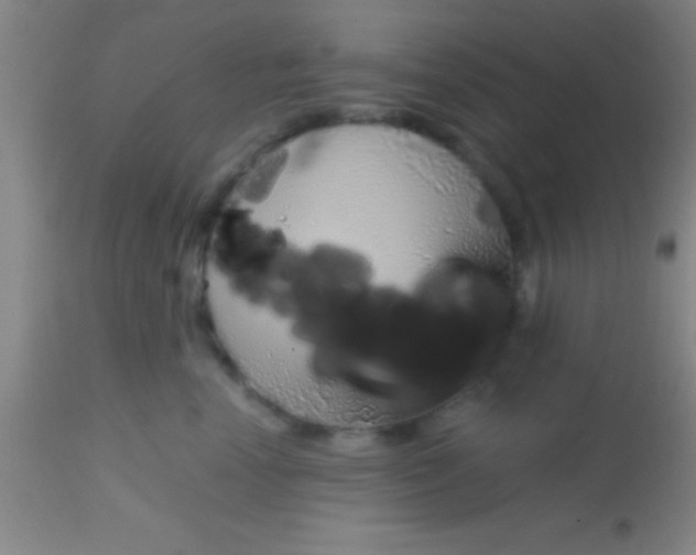 X0000113860666200910151237