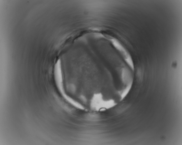 X0000113860668200910151237