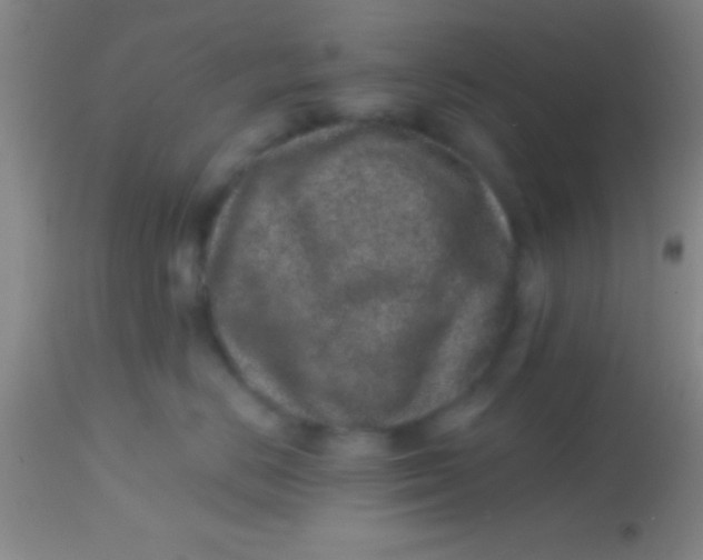 X0000113860670200910151237