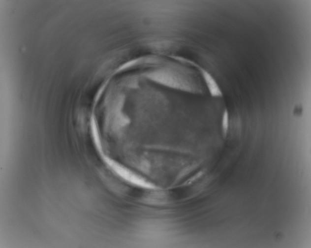 X0000113860671200910151237