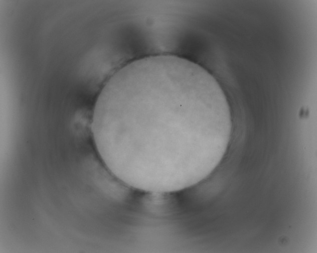 X0000113860672200910151237