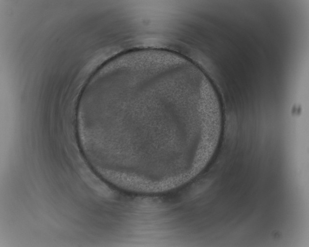 X0000113860673200910151237