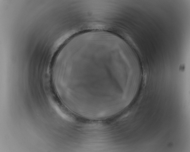 X0000113860674200910151237