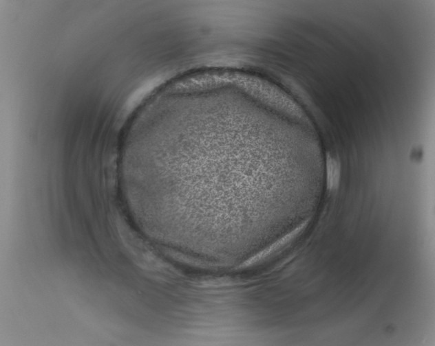 X0000113860675200910151237