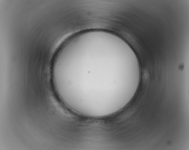 X0000113860676200910151237